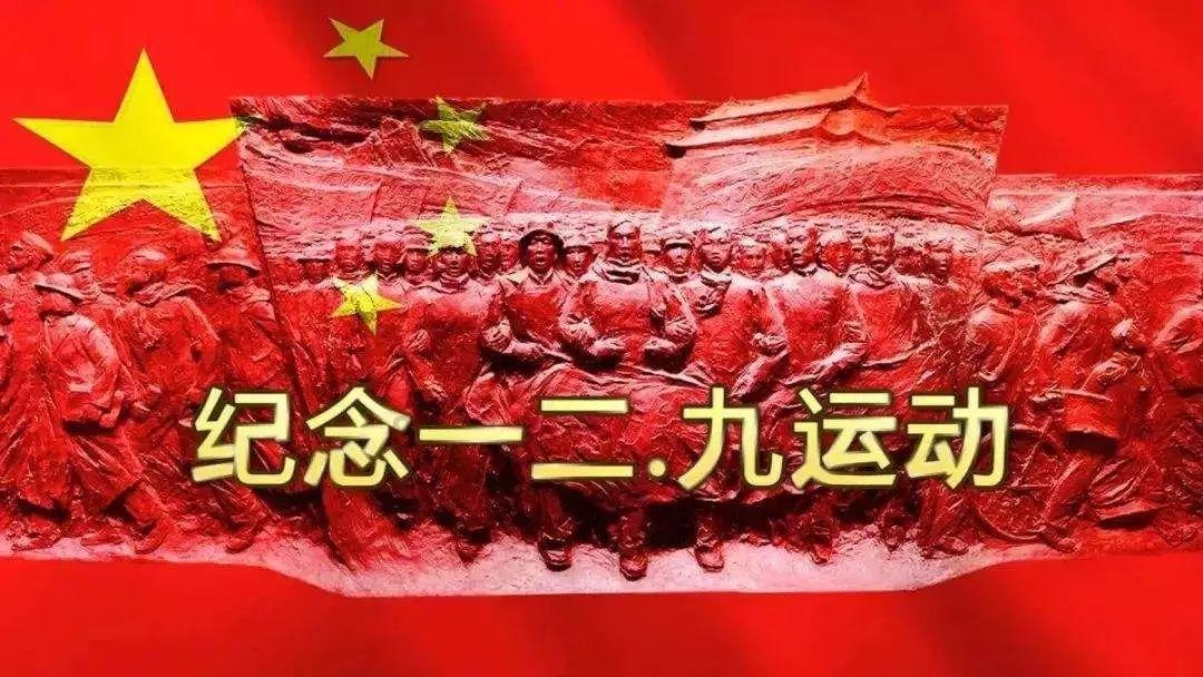 动物帮帮忙保卫家园